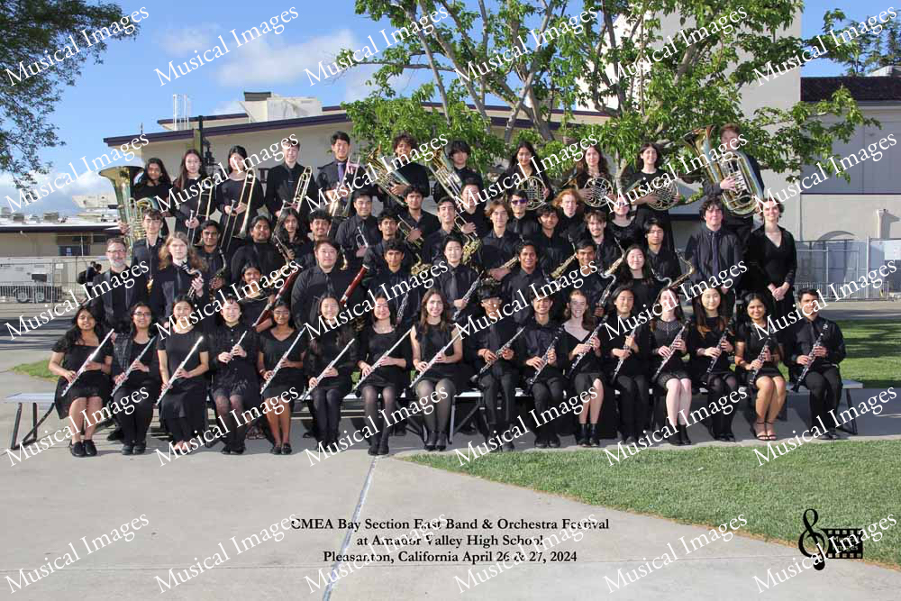 Musical Images